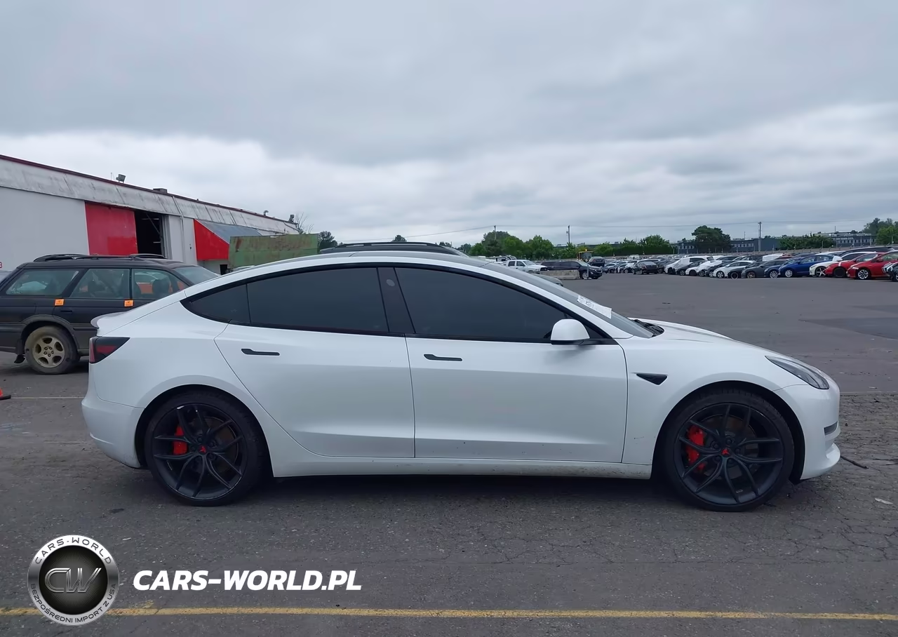 2023 Tesla Model 3 Performance Dual Motor All-Wheel Drive VIN:5YJ3E1EC6PF497980 - 13