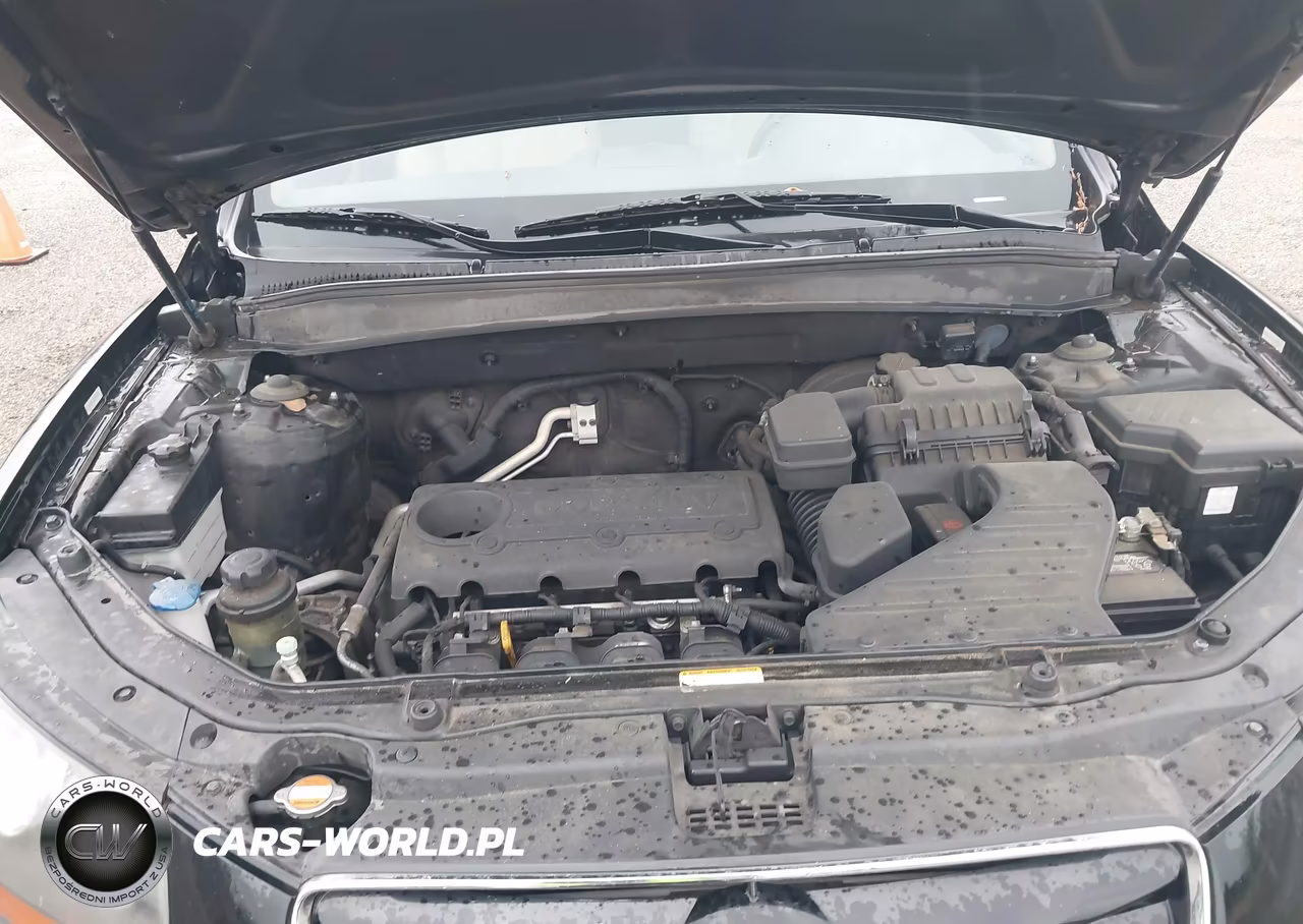 2010 Hyundai Santa Fe Gls VIN:5NMSG3AB3AH338547 - 10
