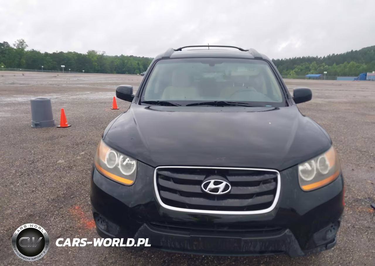 2010 Hyundai Santa Fe Gls VIN:5NMSG3AB3AH338547 - 6