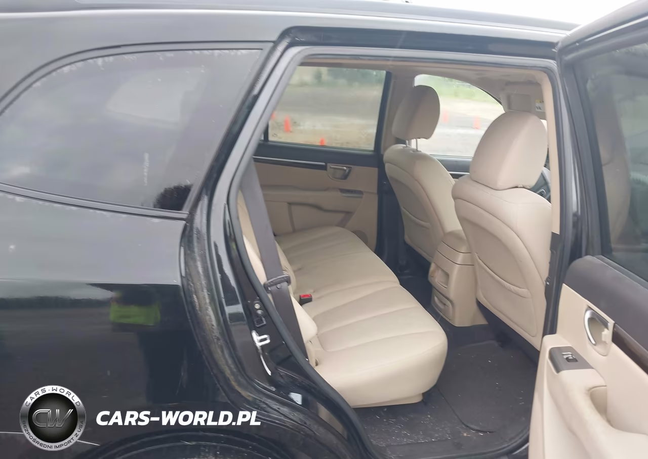 2010 Hyundai Santa Fe Gls VIN:5NMSG3AB3AH338547 - 8