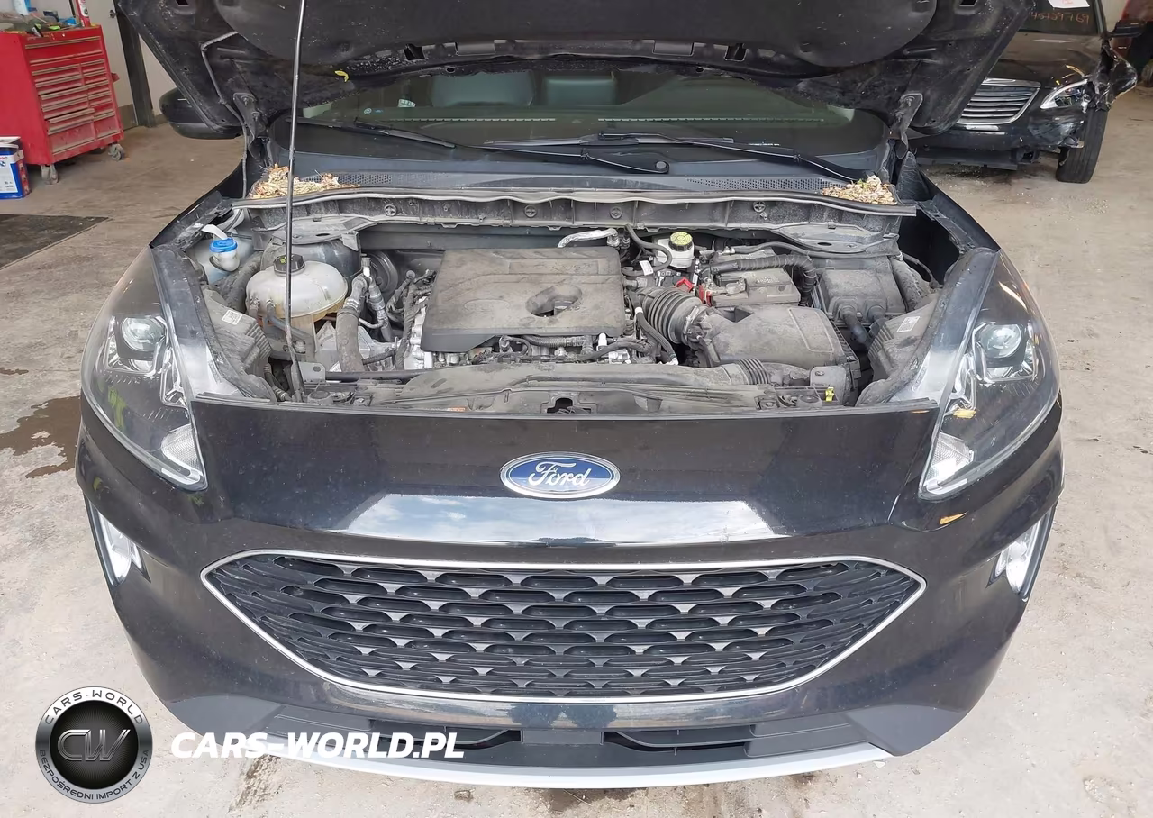 2020 Ford Escape Sel VIN:1FMCU9H6XLUB64525 - 10