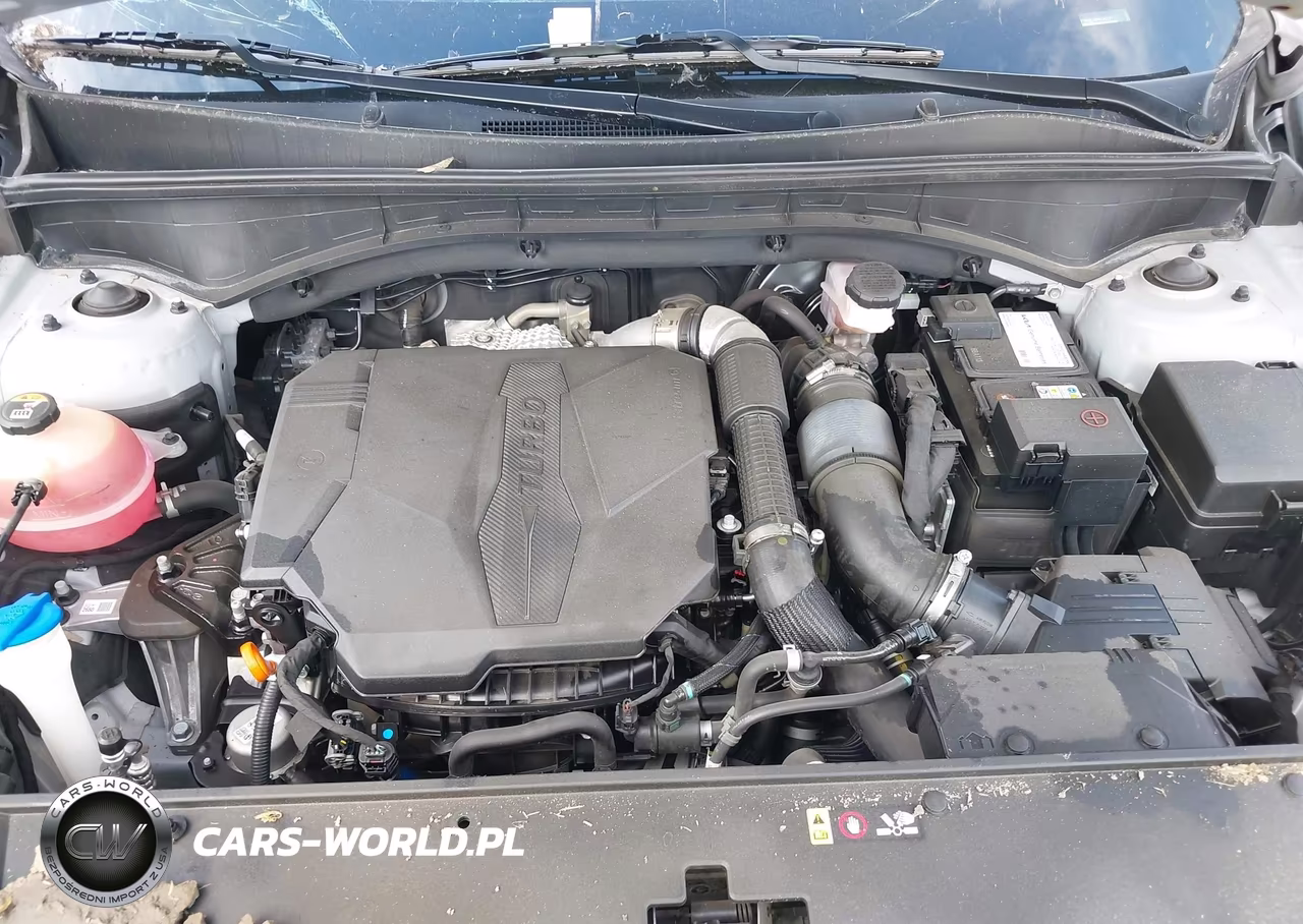 2023 Kia Sorento Sx VIN:5XYRKDLF0PG185387 - 10