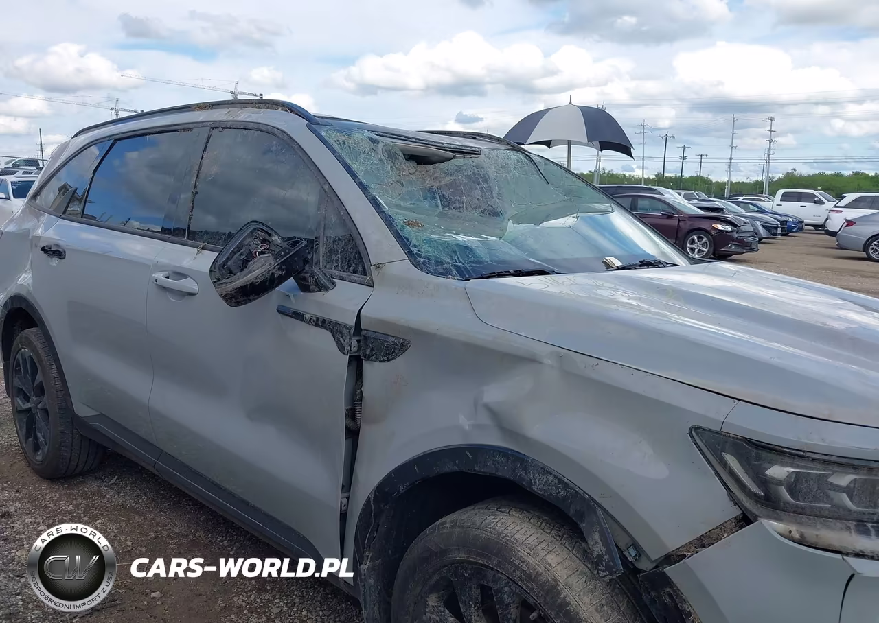2023 Kia Sorento Sx VIN:5XYRKDLF0PG185387 - 6