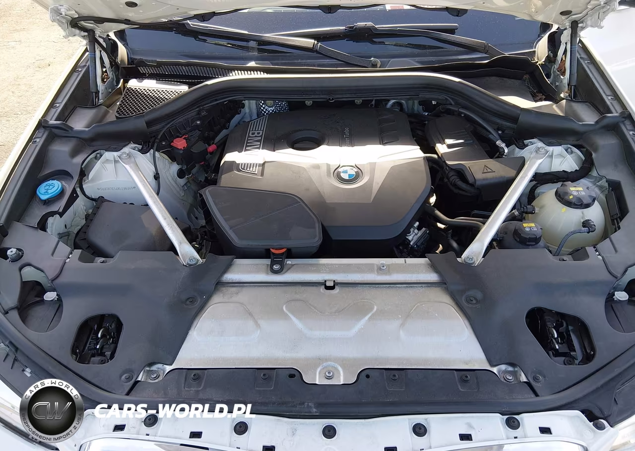 2019 BMW X3 Sdrive30I VIN:5UXTR7C54KLE96345 - 10