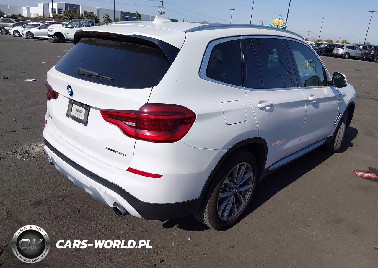 2019 BMW X3 Sdrive30I VIN:5UXTR7C54KLE96345 - 4
