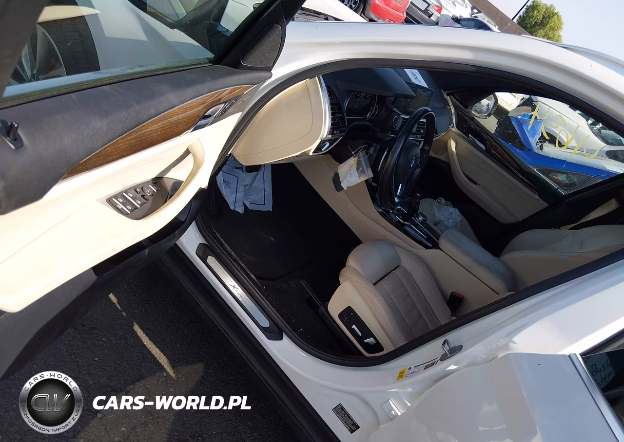 2019 BMW X3 Sdrive30I VIN:5UXTR7C54KLE96345 - 5
