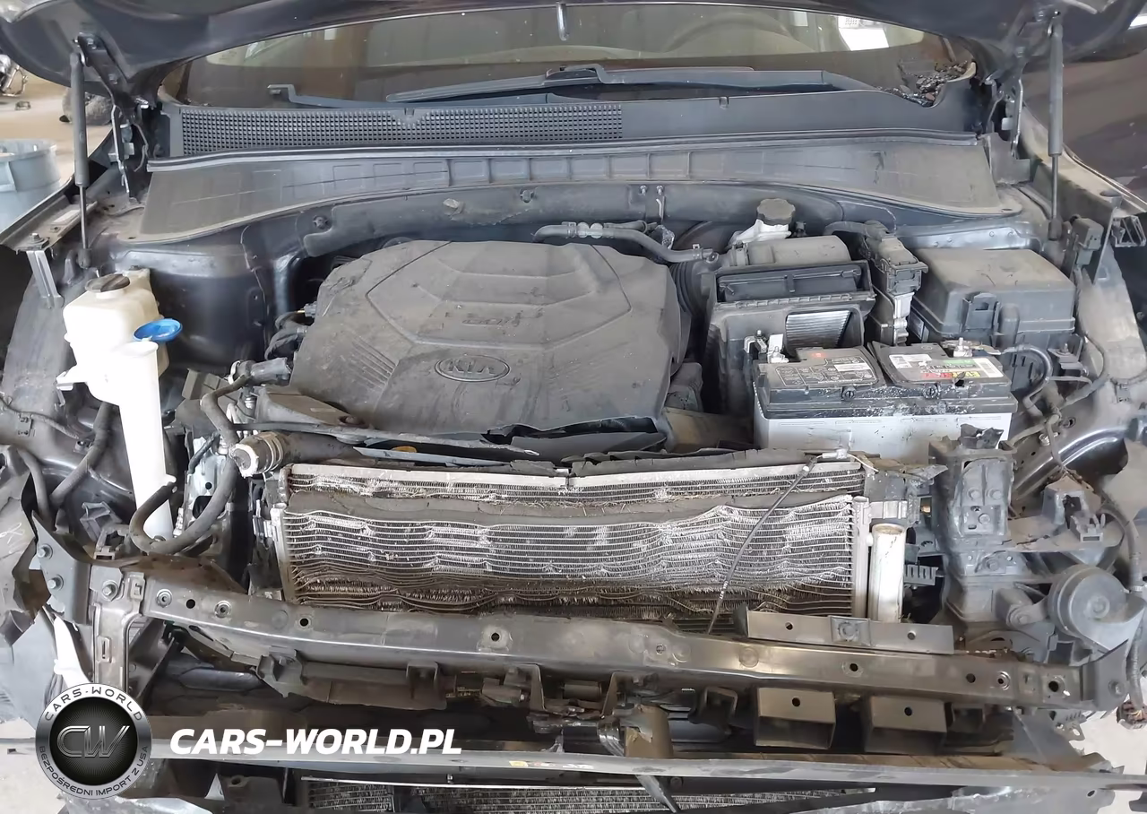 2019 Kia Sorento 3.3L Lx VIN:5XYPGDA51KG441256 - 10