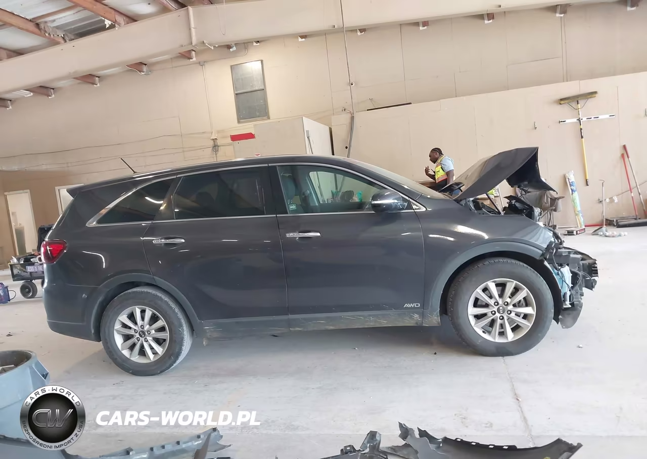 2019 Kia Sorento 3.3L Lx VIN:5XYPGDA51KG441256 - 14