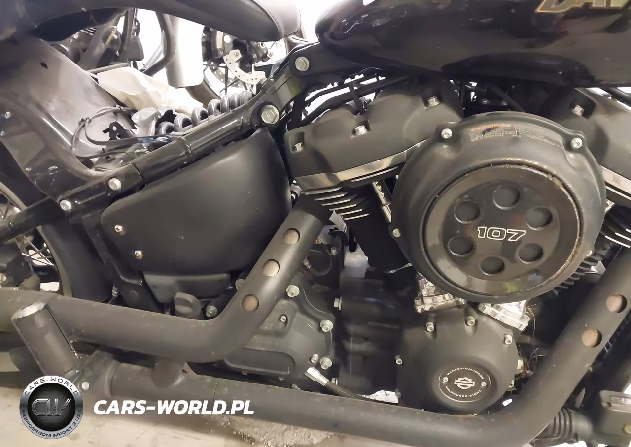 2019 Harley-Davidson Fxbb VIN:1HD1YJJ27KB069390 - 9