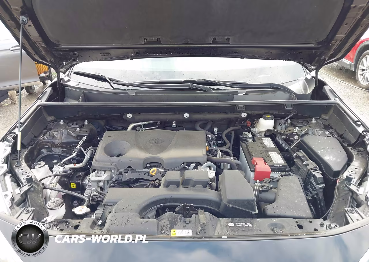 2023 Toyota Rav4 Xle VIN:2T3W1RFV0PW281396 - 10