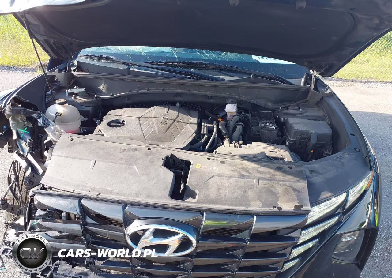 2024 Hyundai Tucson Se VIN:5NMJACDE9RH390053 - 10