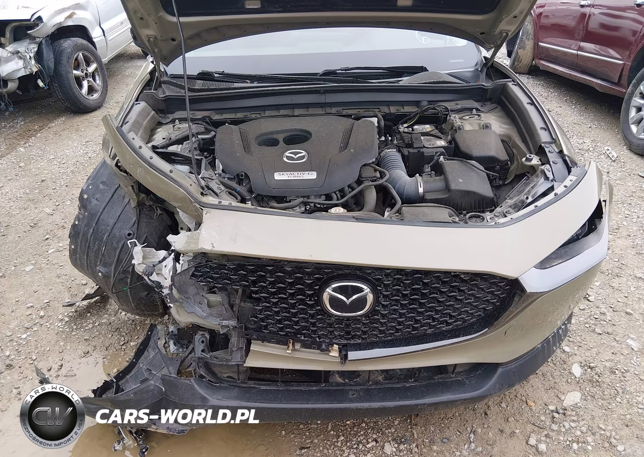 2024 Mazda Cx-30 2.5 Carbon Turbo VIN:3MVDMBXY1RM623956 - 10