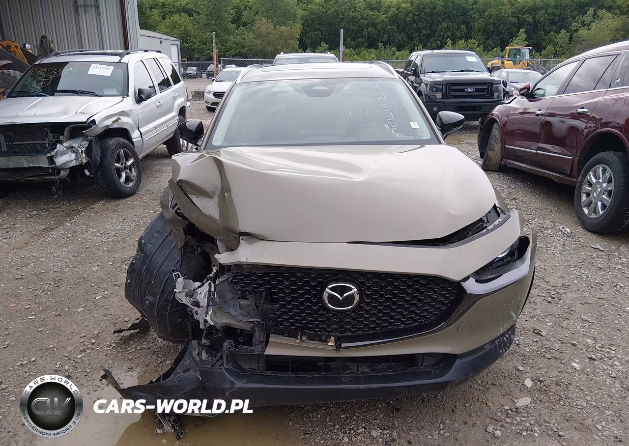 2024 Mazda Cx-30 2.5 Carbon Turbo VIN:3MVDMBXY1RM623956 - 12
