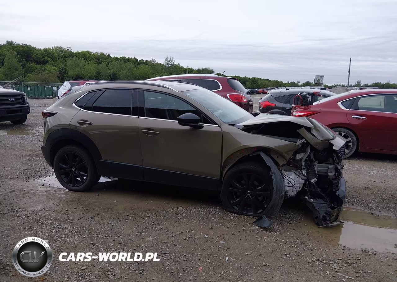 2024 Mazda Cx-30 2.5 Carbon Turbo VIN:3MVDMBXY1RM623956 - 13