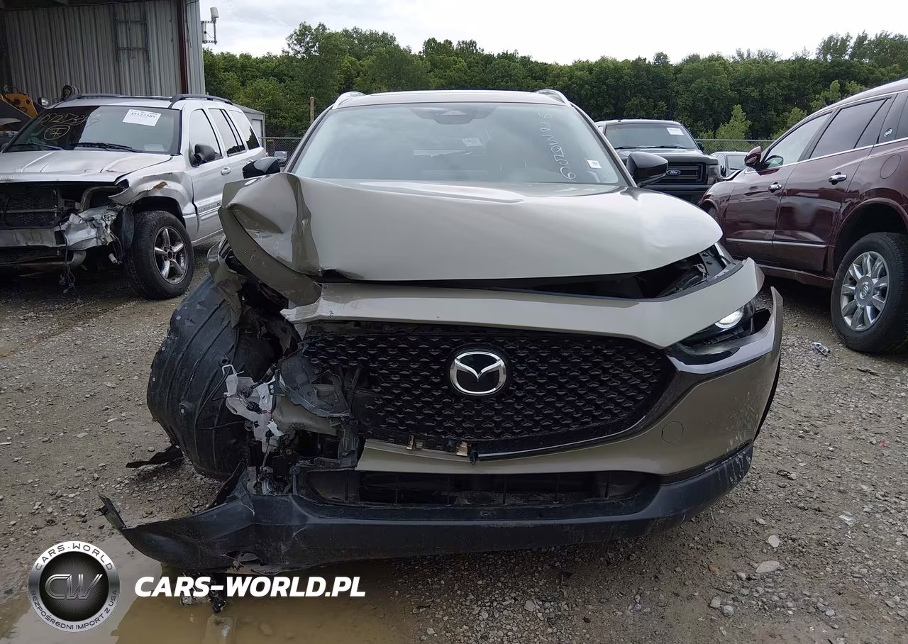 2024 Mazda Cx-30 2.5 Carbon Turbo VIN:3MVDMBXY1RM623956 - 6