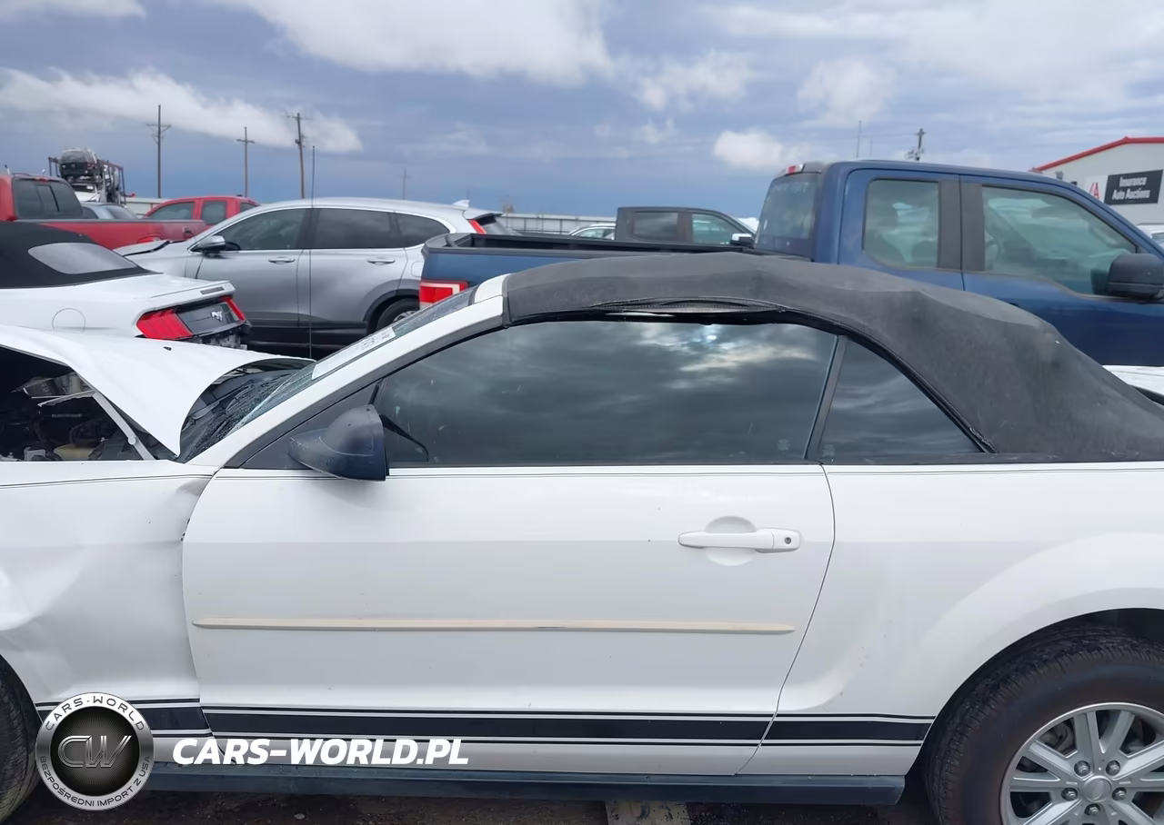 2008 Ford Mustang V6 Deluxe-V6 Premium VIN:1ZVHT84N785144297 - 14