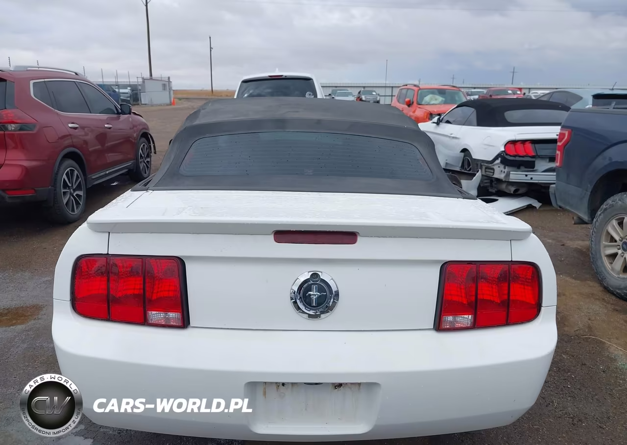 2008 Ford Mustang V6 Deluxe-V6 Premium VIN:1ZVHT84N785144297 - 16