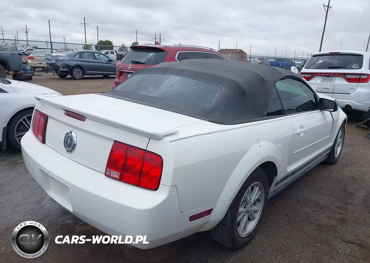 2008 Ford Mustang V6 Deluxe-V6 Premium VIN:1ZVHT84N785144297 - 4