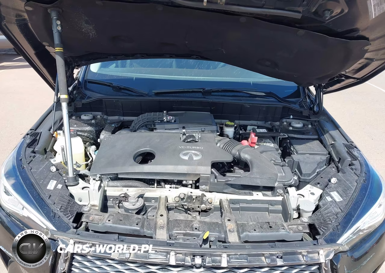 2019 Infiniti Qx50 Essential VIN:3PCAJ5M16KF119905 - 10