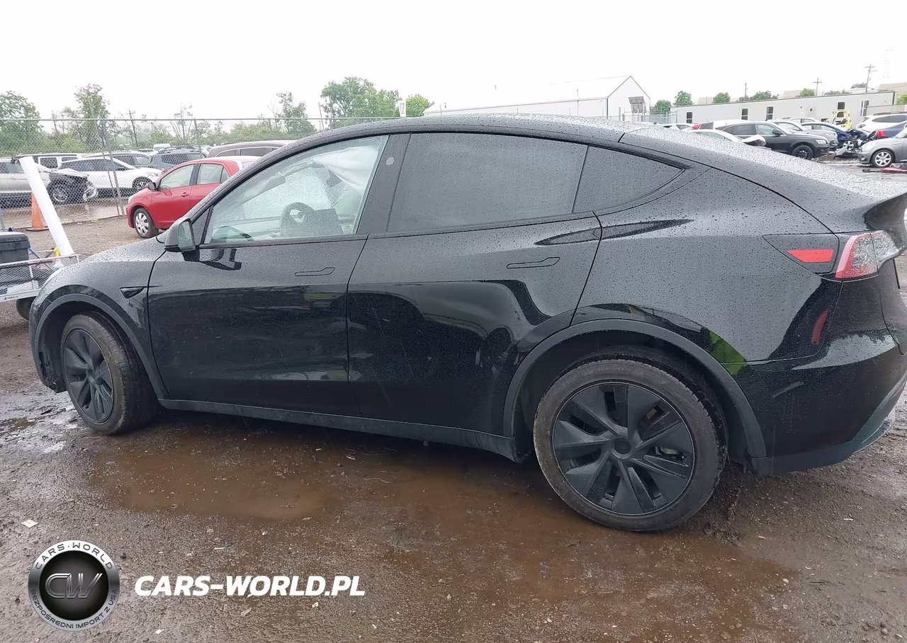 2025 Tesla Model Y Long Range Dual Motor All-Wheel Drive VIN:7SAYGDEE8SF266965 - 15