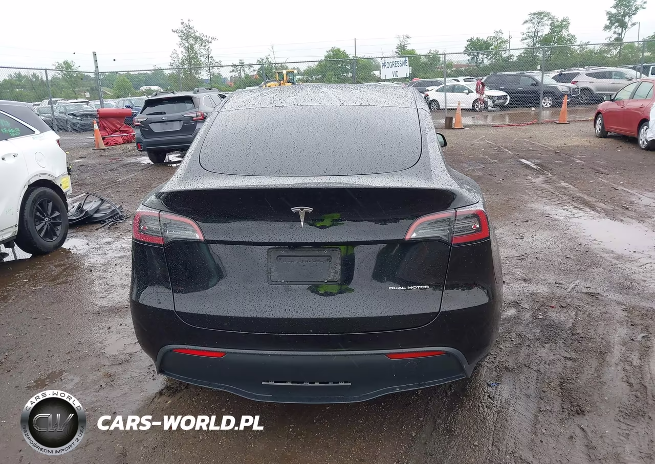 2025 Tesla Model Y Long Range Dual Motor All-Wheel Drive VIN:7SAYGDEE8SF266965 - 17