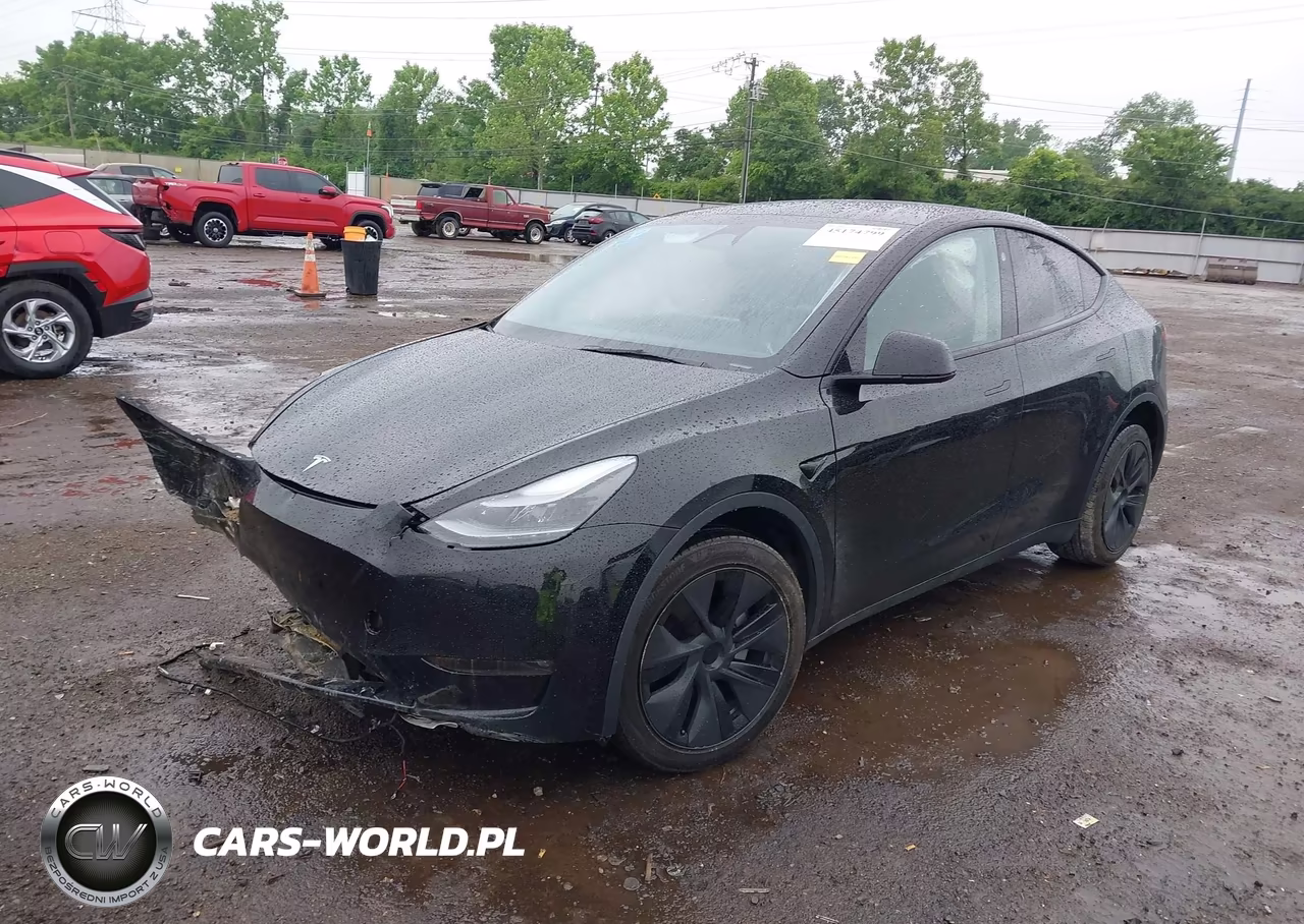 2025 Tesla Model Y Long Range Dual Motor All-Wheel Drive VIN:7SAYGDEE8SF266965 - 2