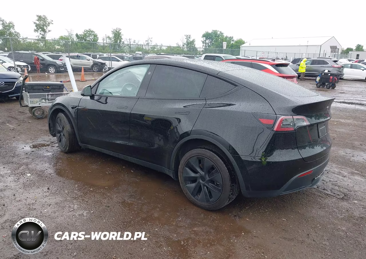 2025 Tesla Model Y Long Range Dual Motor All-Wheel Drive VIN:7SAYGDEE8SF266965 - 3