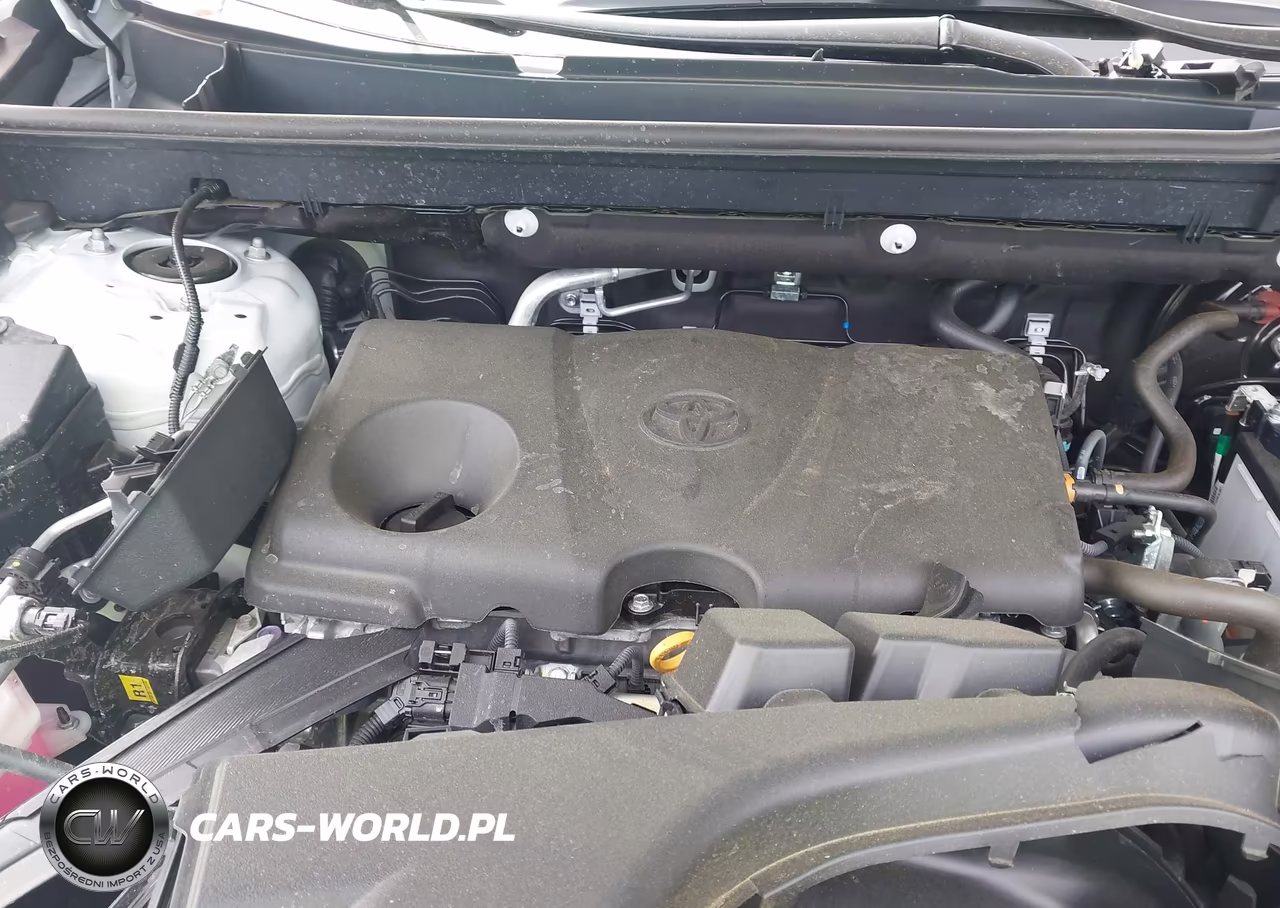 2025 Toyota Rav4 Xle VIN:2T3P1RFV8SW612674 - 10