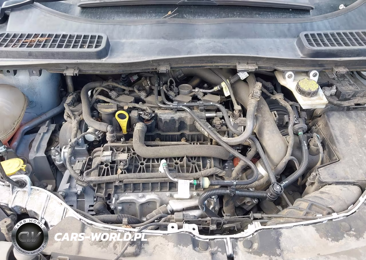 2019 Ford Escape Se VIN:1FMCU0GD9KUC02305 - 10