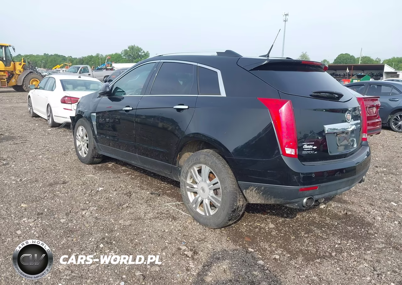 2010 Cadillac Srx Luxury Collection VIN:3GYFNDEY4AS638175 - 3