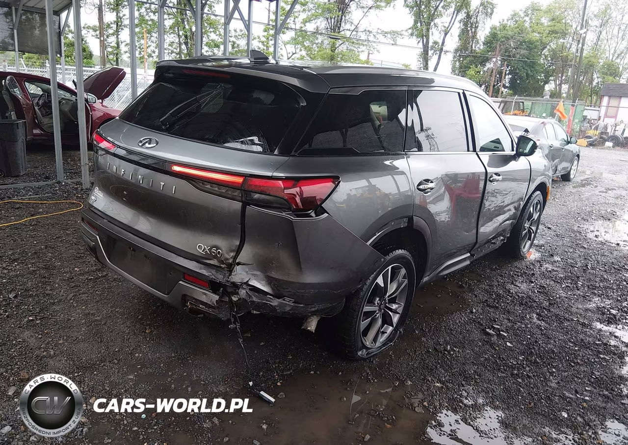 2023 Infiniti Qx60 Luxe Awd VIN:5N1DL1FS1PC358168 - 4