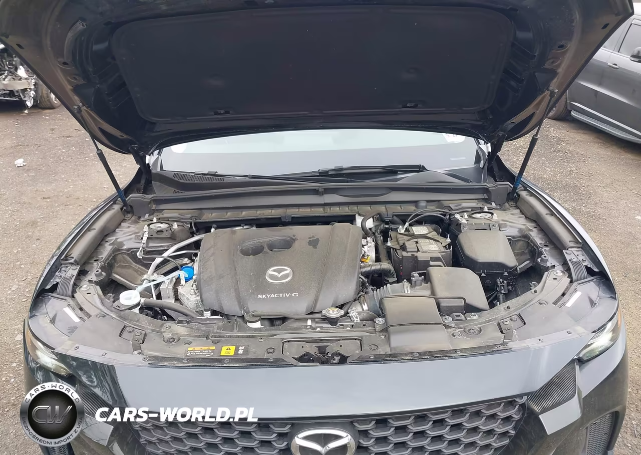 2024 Mazda Cx-50 2.5 S Premium VIN:7MMVABDM5RN224604 - 10