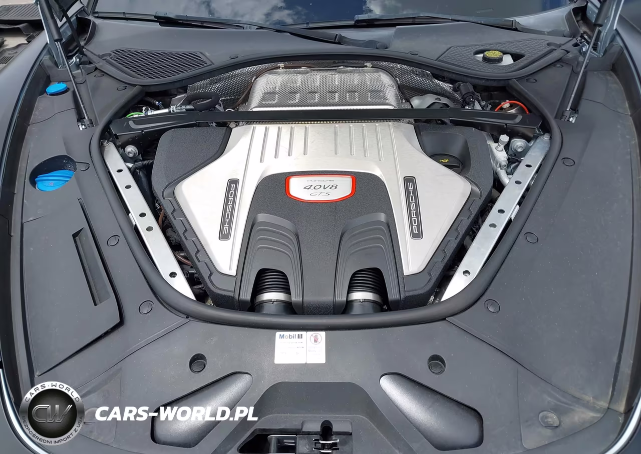2020 Porsche Panamera Gts VIN:WP0AG2A79LL145516 - 10