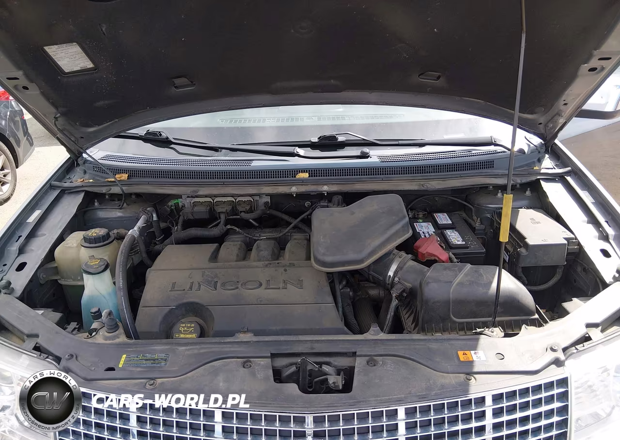 2010 Lincoln Mkx VIN:2LMDJ8JC0ABJ24422 - 10