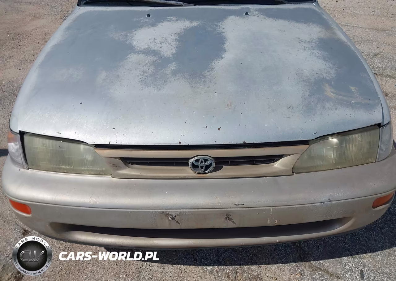 1997 Toyota Corolla Ce VIN:1NXBA02E7VZ616837 - 6