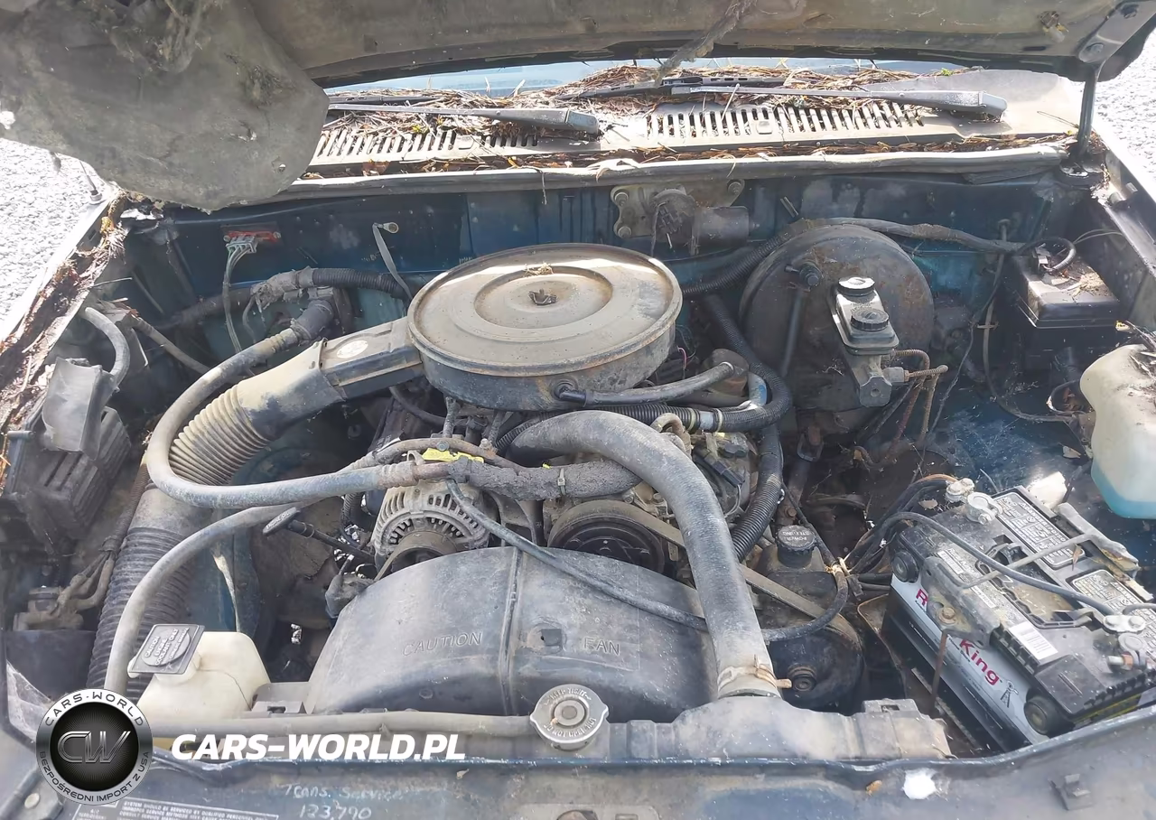 1992 Dodge Dakota VIN:1B7FL26X3NS539757 - 10