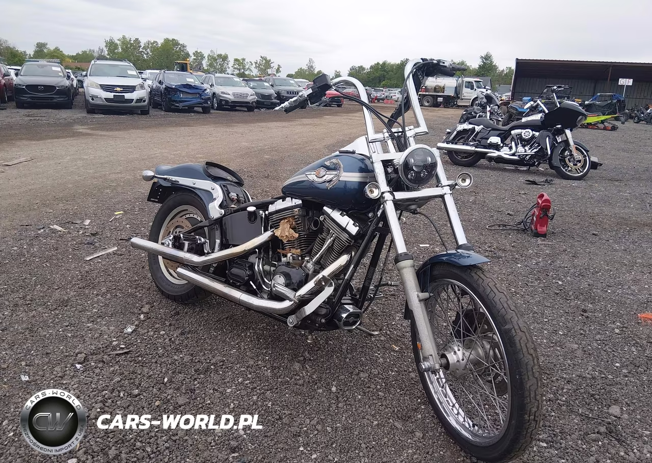 2003 Harley-Davidson Fxst