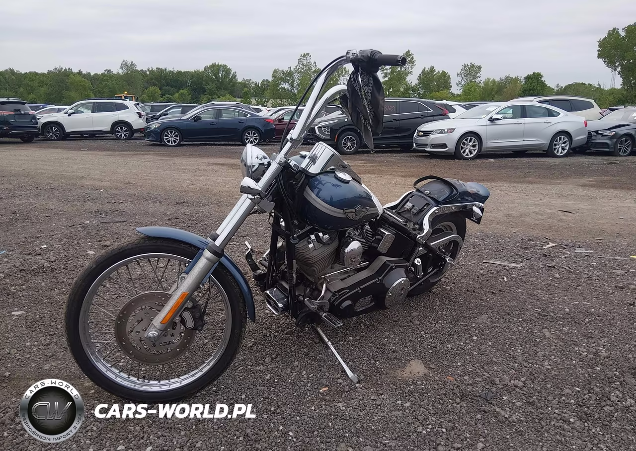 2003 Harley-Davidson Fxst VIN:1HD1BHY103Y058480 - 2