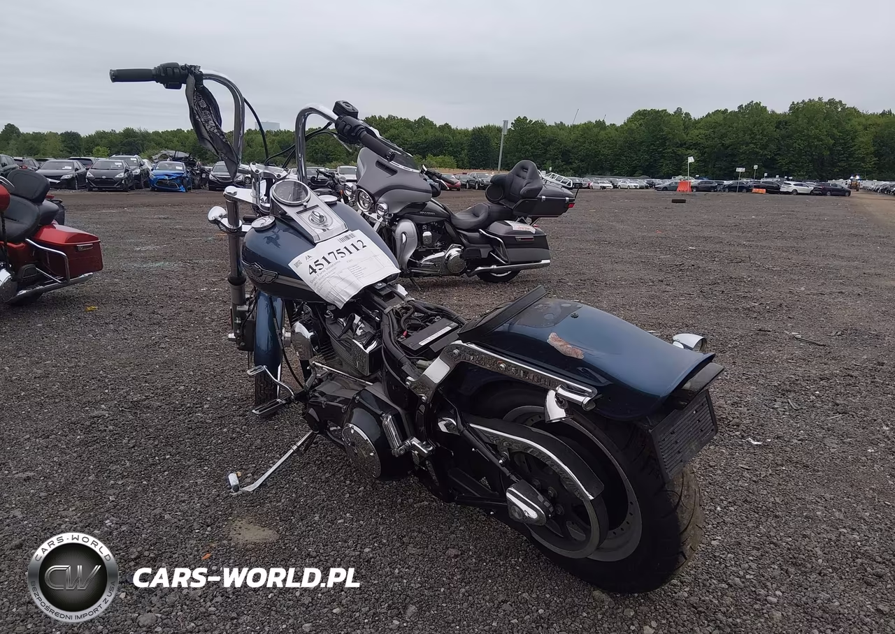 2003 Harley-Davidson Fxst VIN:1HD1BHY103Y058480 - 3
