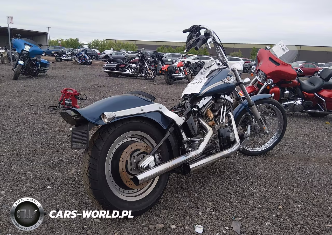2003 Harley-Davidson Fxst VIN:1HD1BHY103Y058480 - 4