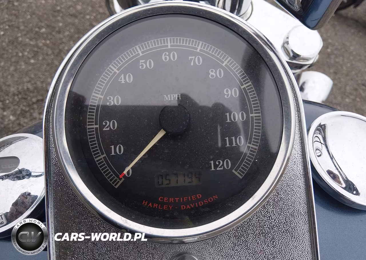 2003 Harley-Davidson Fxst VIN:1HD1BHY103Y058480 - 7