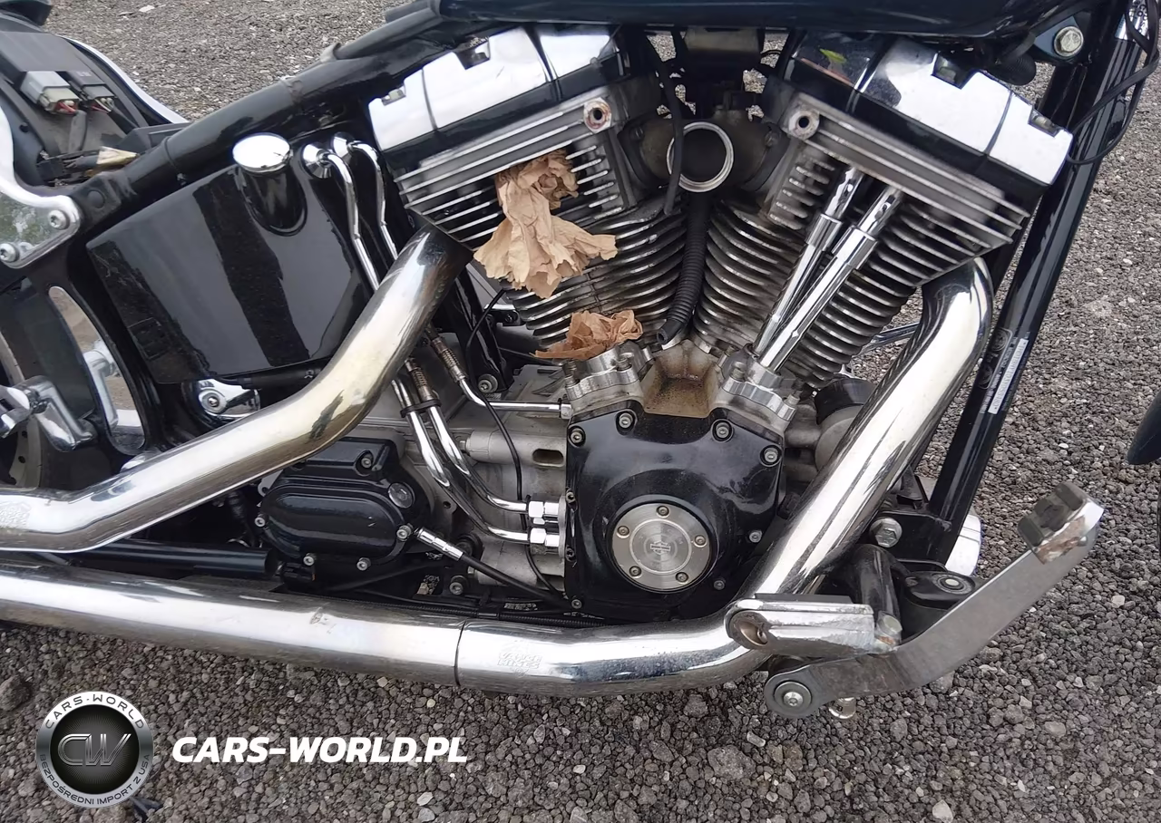 2003 Harley-Davidson Fxst VIN:1HD1BHY103Y058480 - 8