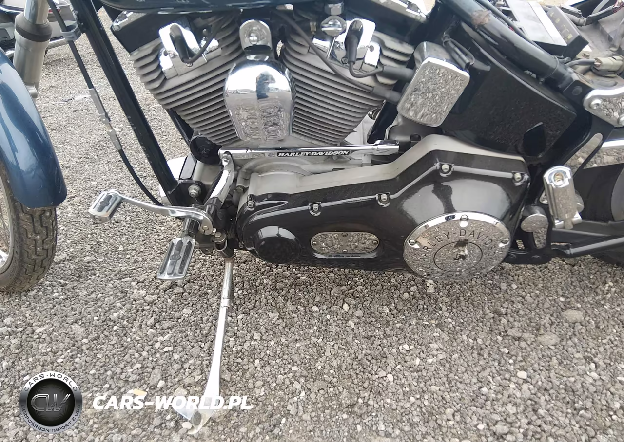 2003 Harley-Davidson Fxst VIN:1HD1BHY103Y058480 - 9