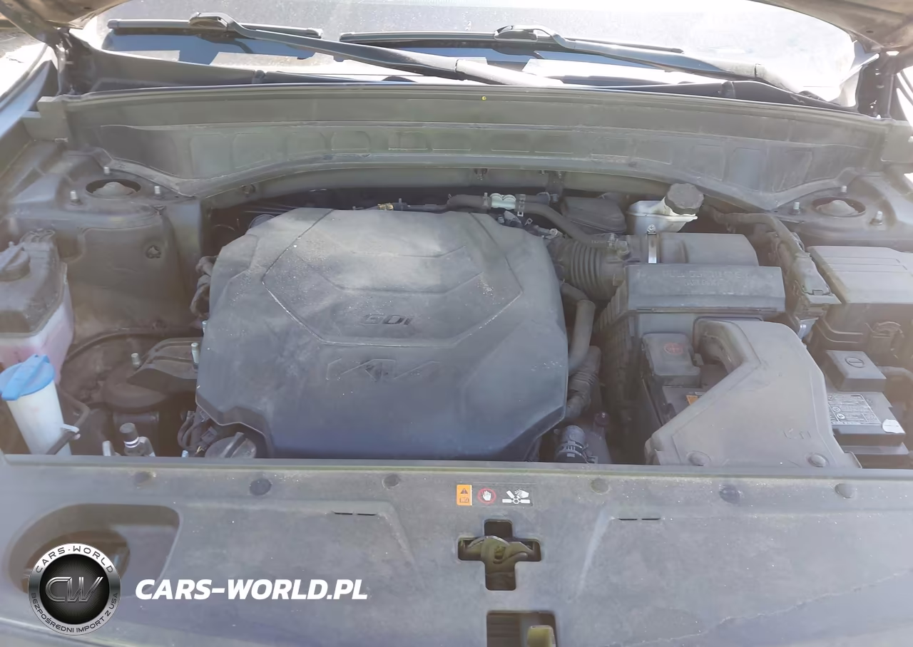 2023 Kia Telluride Sx VIN:5XYP54GC4PG333510 - 10