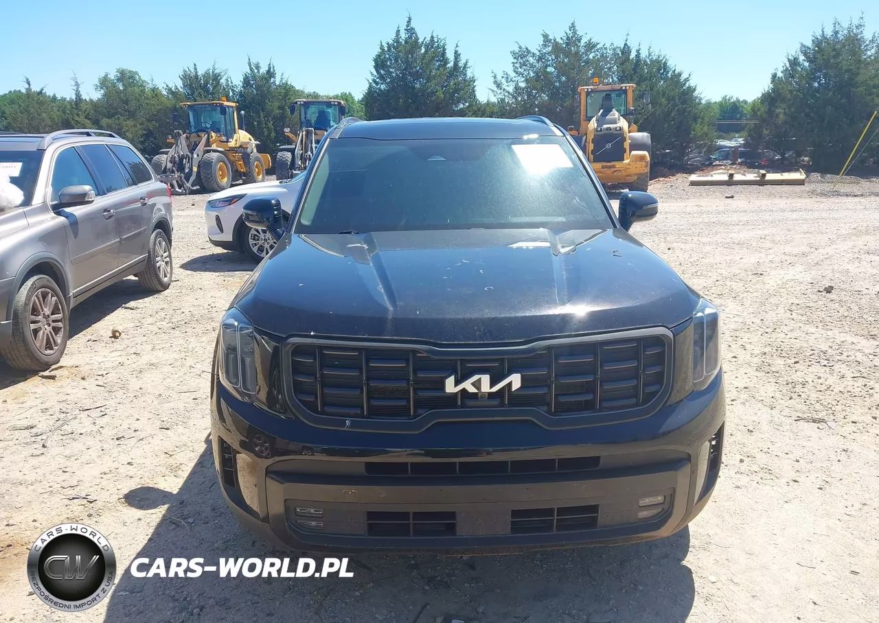 2023 Kia Telluride Sx VIN:5XYP54GC4PG333510 - 12