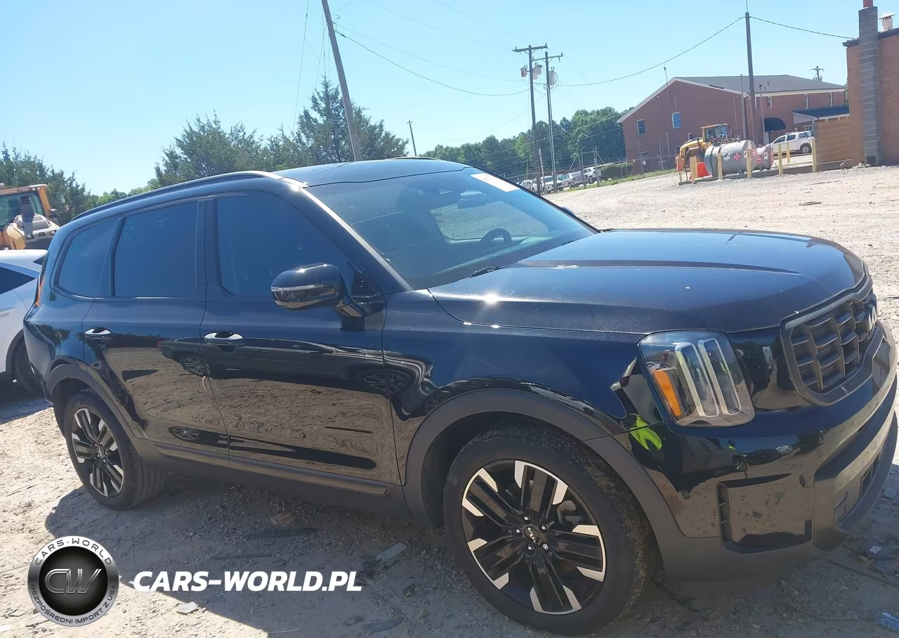 2023 Kia Telluride Sx VIN:5XYP54GC4PG333510 - 13