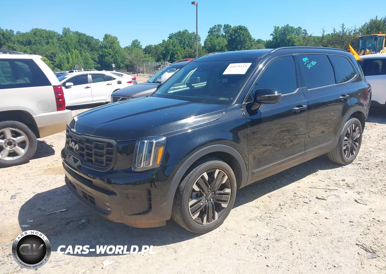 2023 Kia Telluride Sx VIN:5XYP54GC4PG333510 - 2
