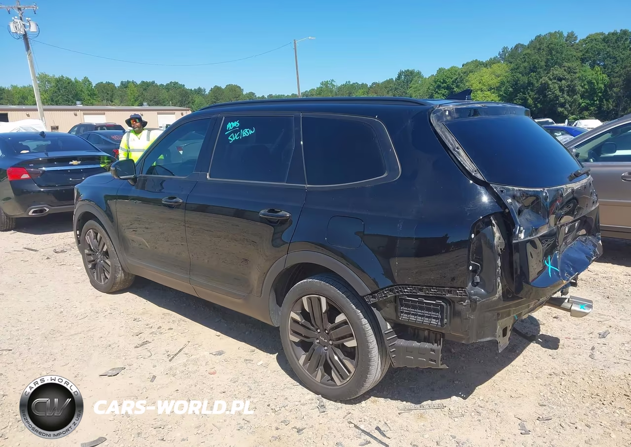 2023 Kia Telluride Sx VIN:5XYP54GC4PG333510 - 3