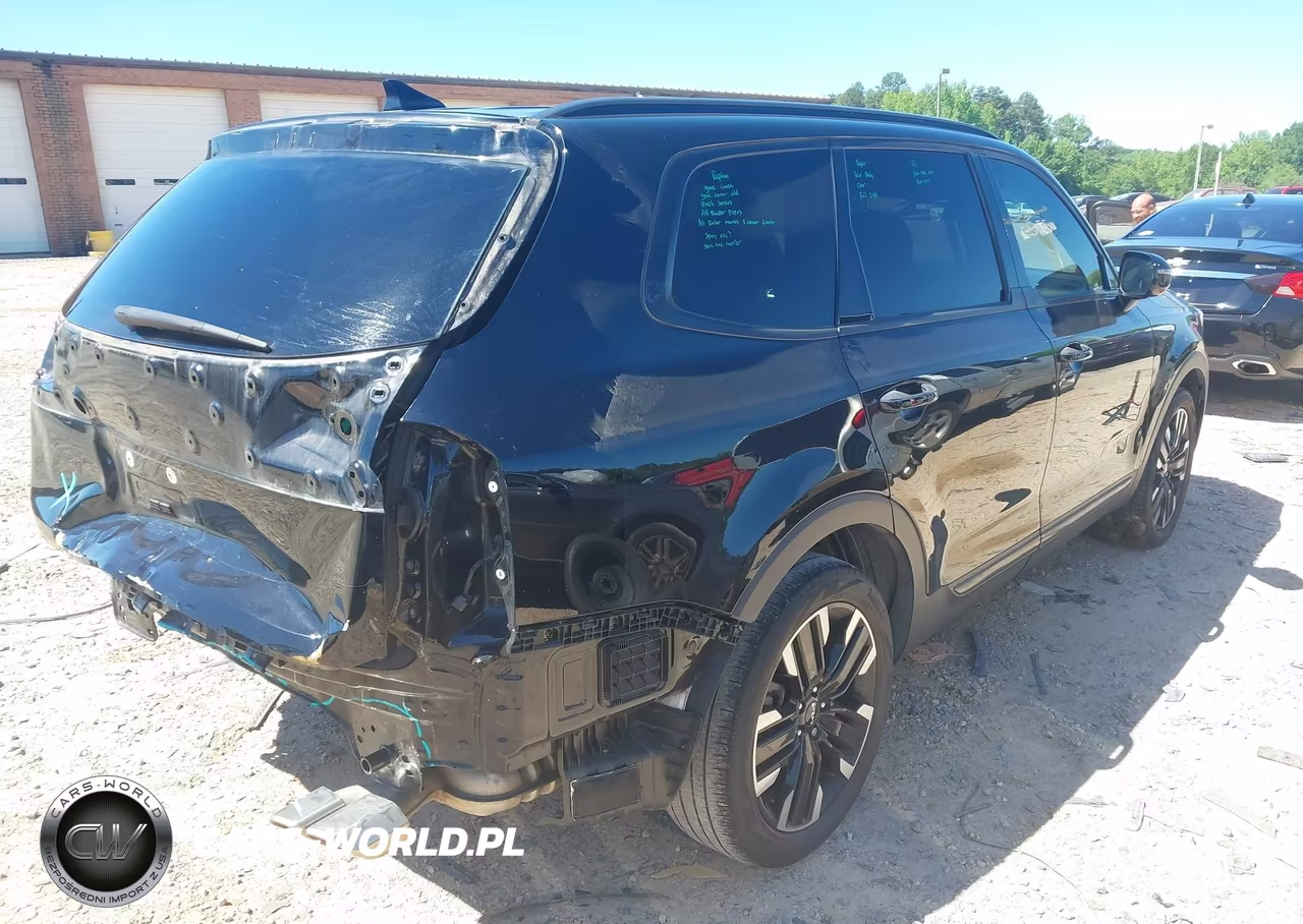 2023 Kia Telluride Sx VIN:5XYP54GC4PG333510 - 4