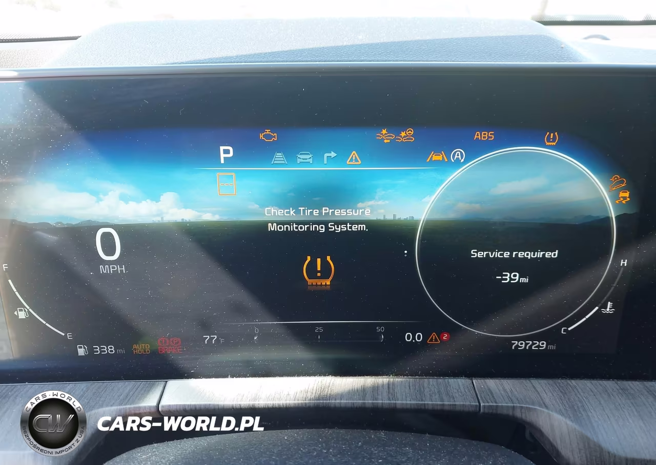 2023 Kia Telluride Sx VIN:5XYP54GC4PG333510 - 7